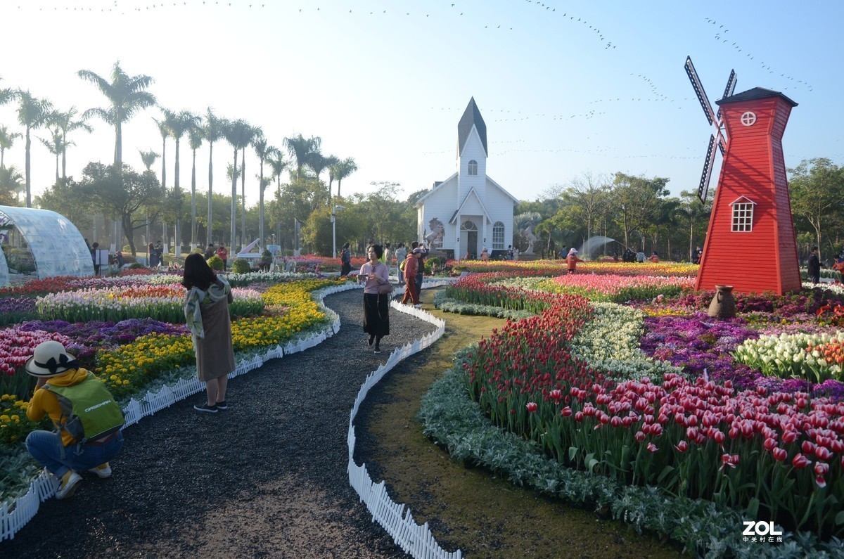 美丽的厦门郊外早晨风光摄影--231