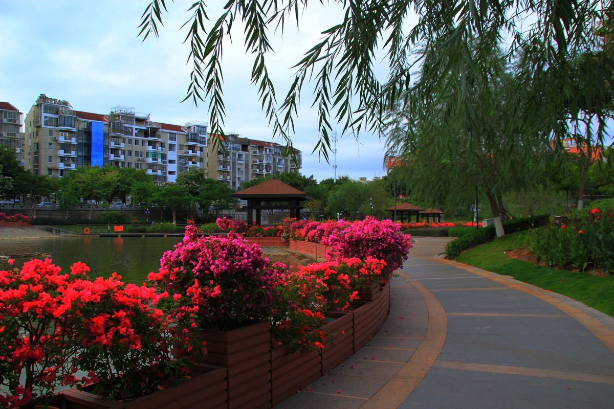 美丽的厦门郊外早晨风光摄影--231