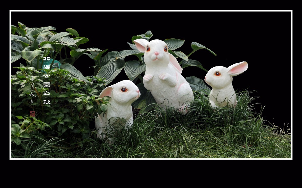 北海公园之秋色美景