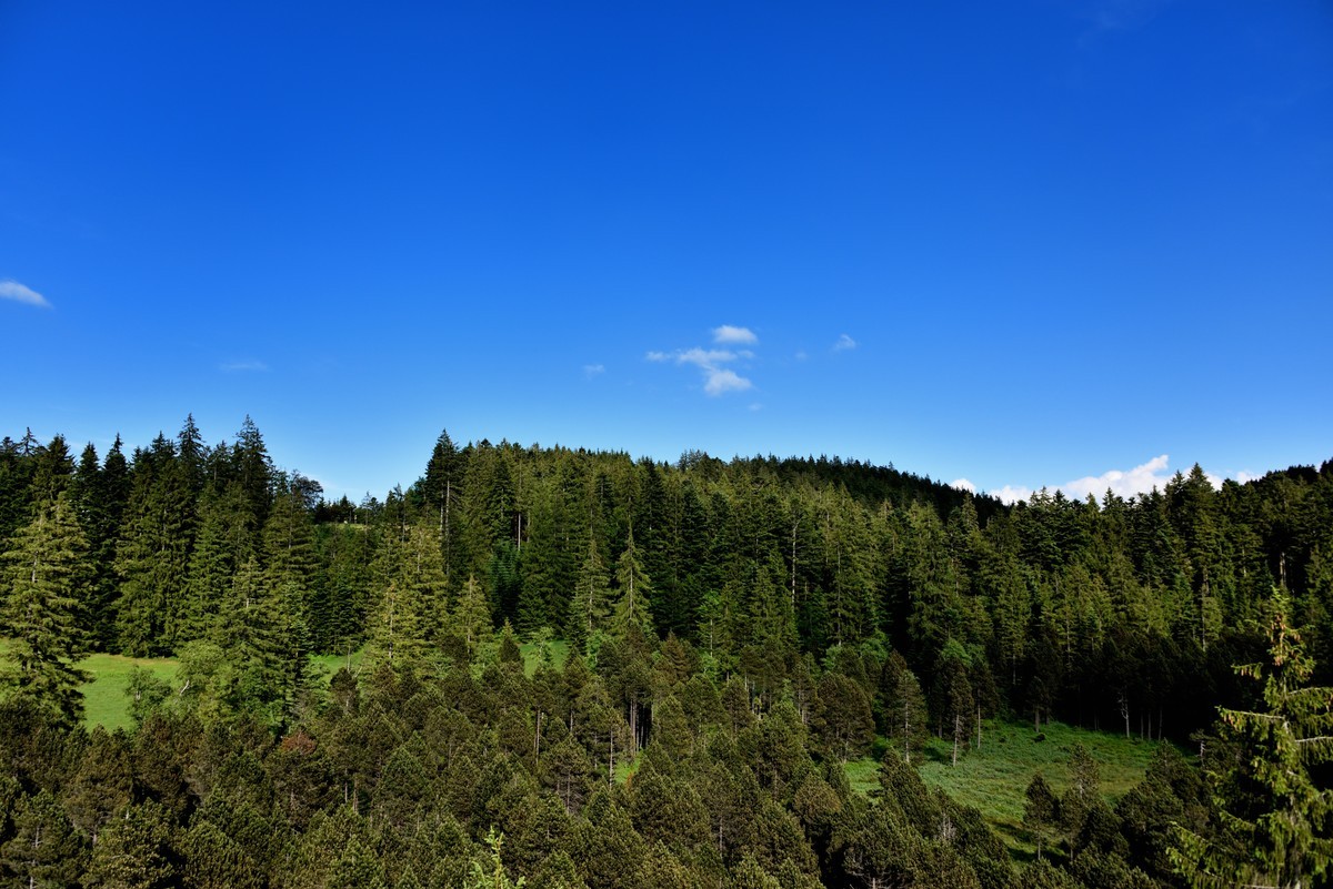 火车环瑞士之旅——皮拉图斯山掠影【6】