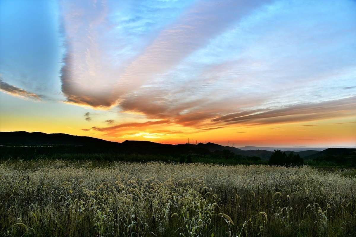 田间地头寻秋色【3】