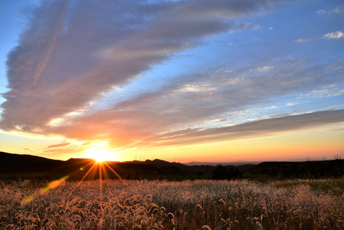 田间地头寻秋色【3】