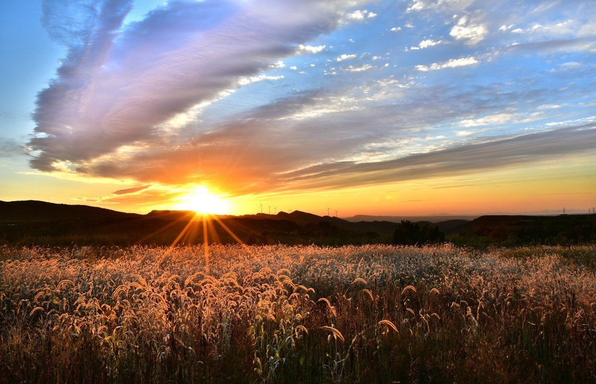 田间地头寻秋色【3】