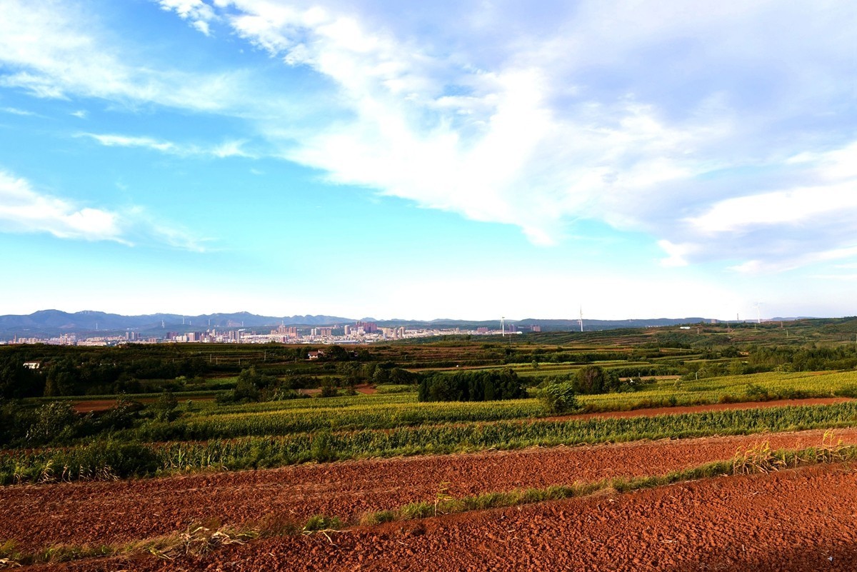 田间地头寻秋色【3】