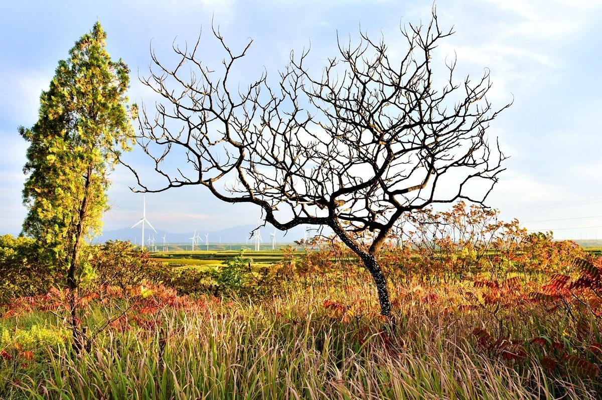 田间地头寻秋色【3】