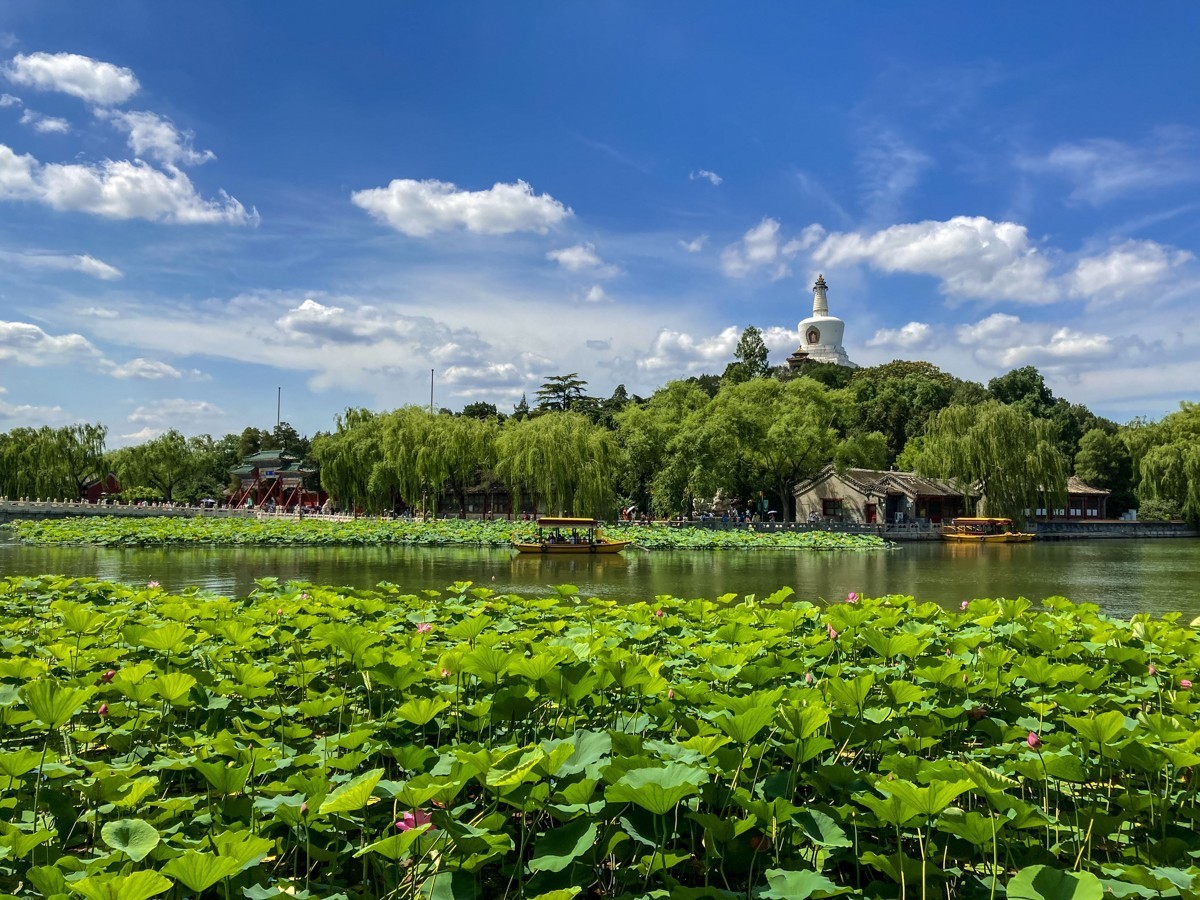 2023年-公园风光纪实抓拍-838