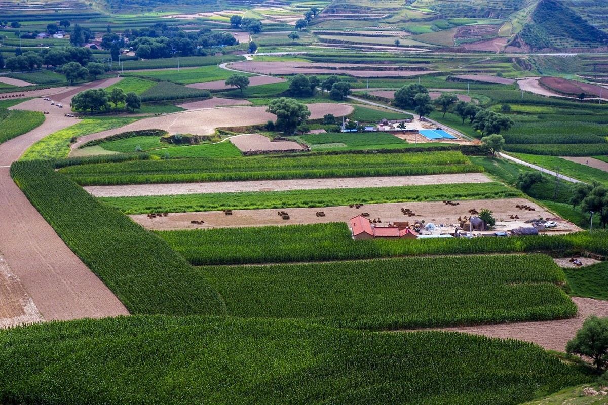 宁夏六盘山区的夏天！