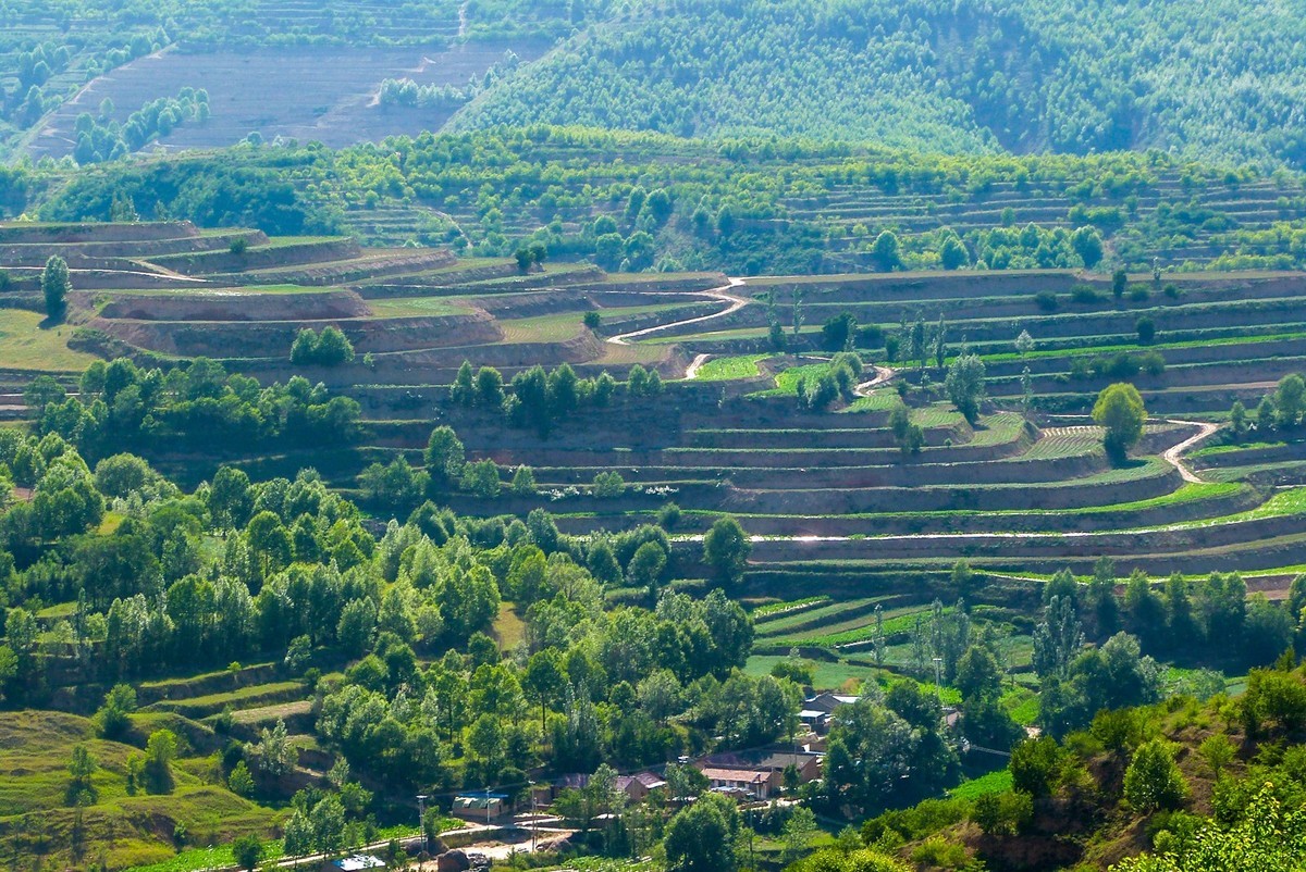 宁夏六盘山区夏天情景！