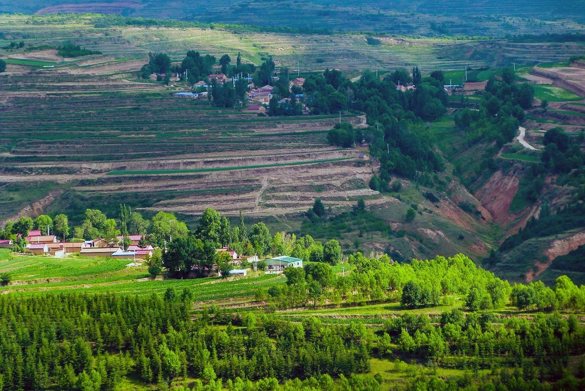 宁夏六盘山区夏天情景！