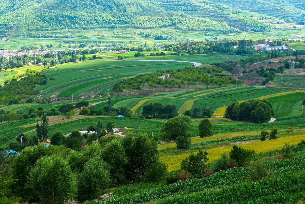 宁夏六盘山区夏天情景！