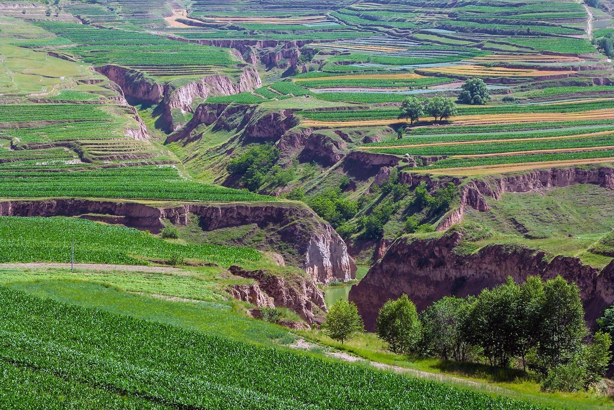 宁夏六盘山区夏天情景！