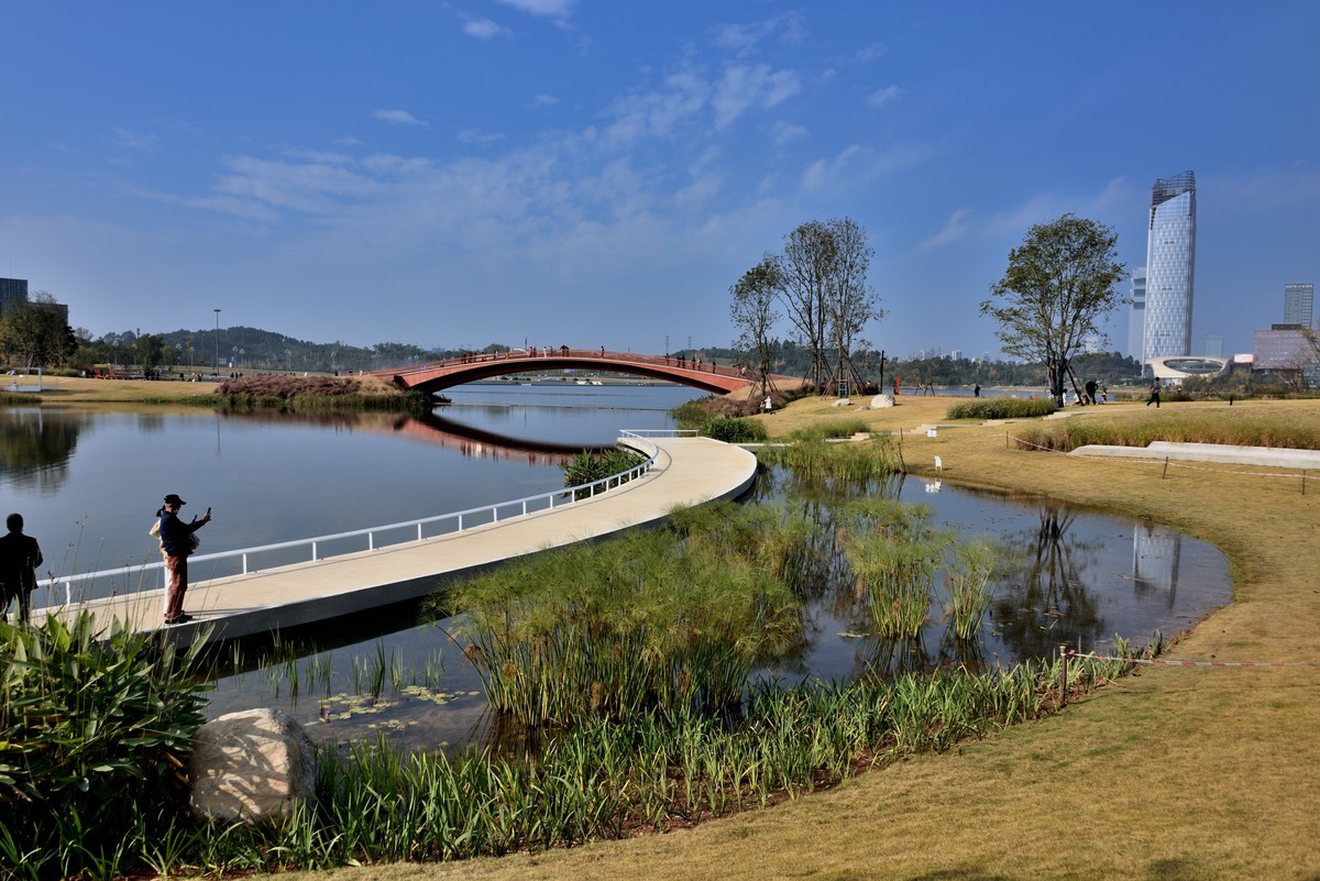 兴隆湖湿地公园【4】-中关村在线摄影论坛