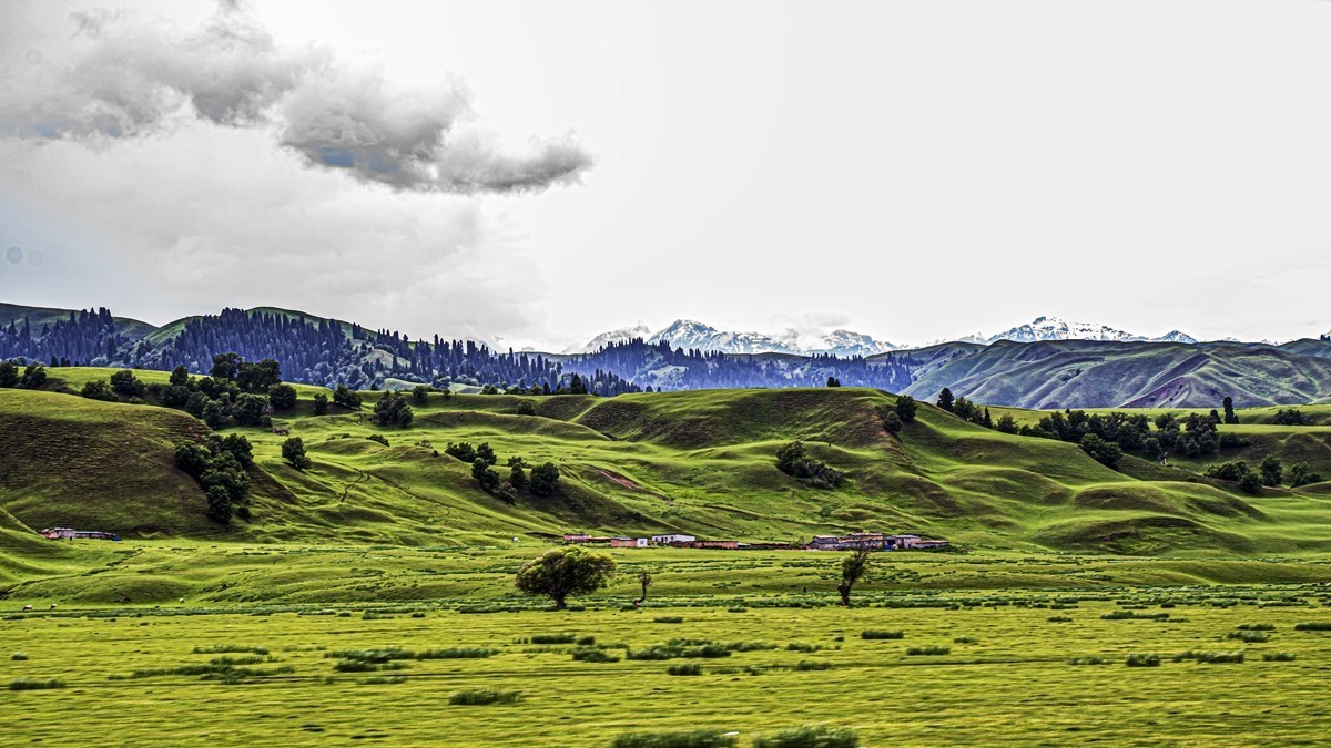 那拉提河谷草原【13】