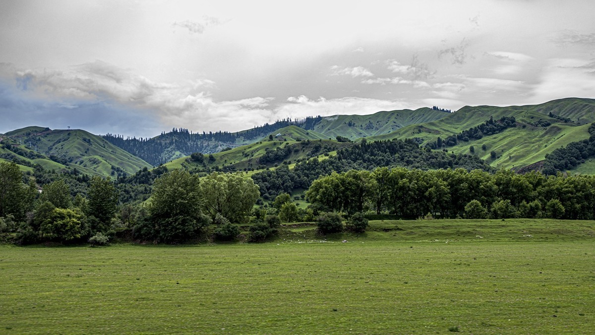 那拉提河谷草原【13】