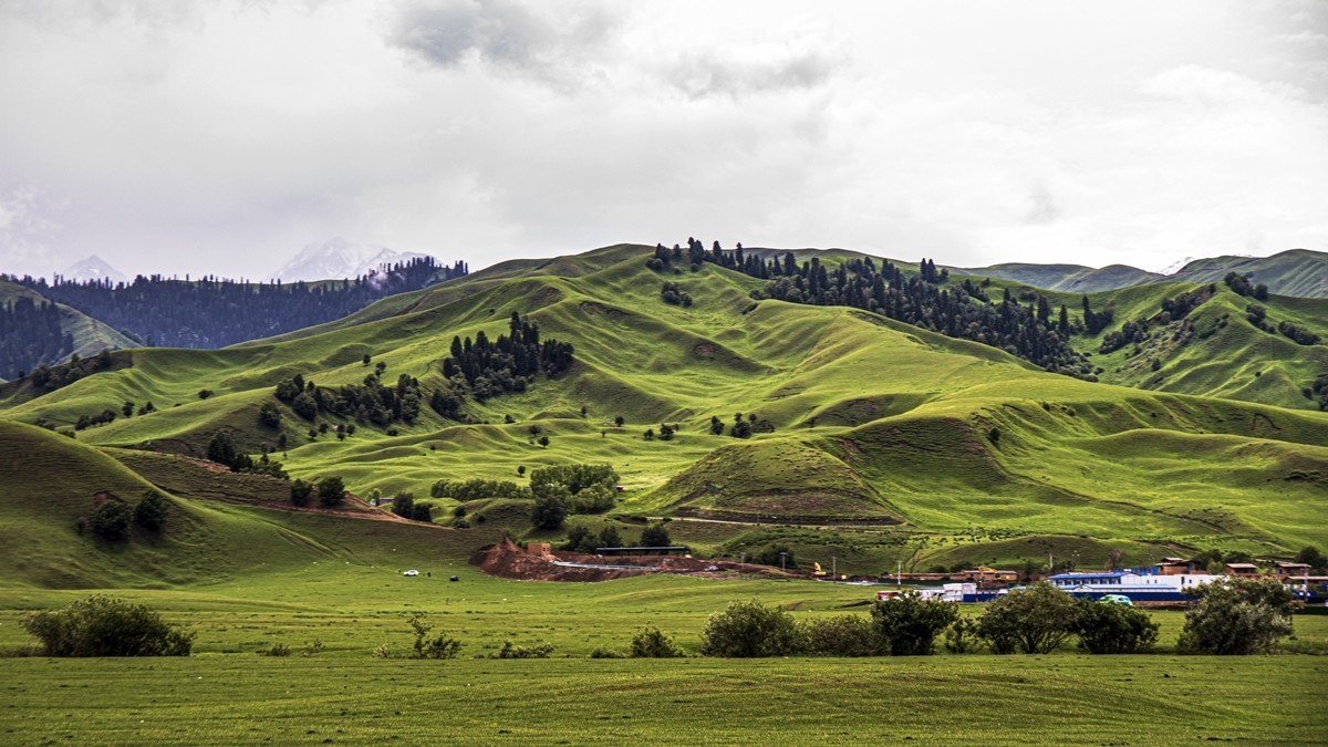 那拉提河谷草原【13】