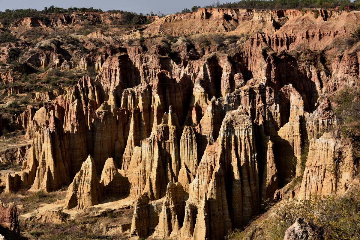 浪巴铺土林【2】