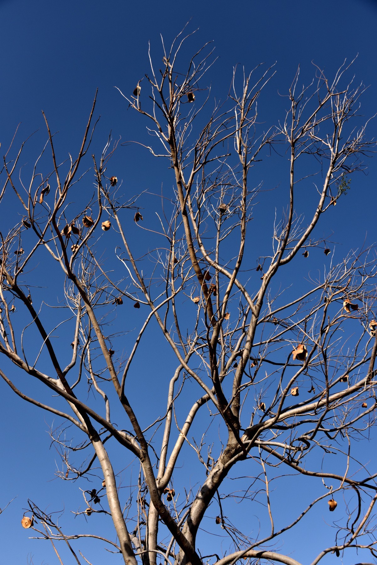 浪巴铺土林【2】