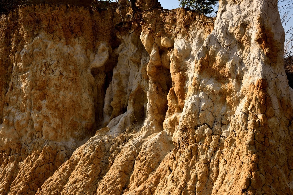 浪巴铺土林【2】
