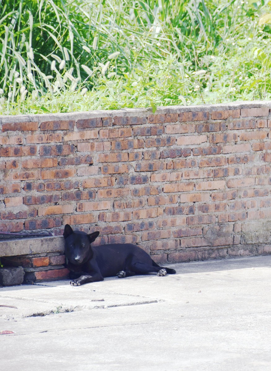 2024夏 海南环岛行（189）倾情演绎着贺州