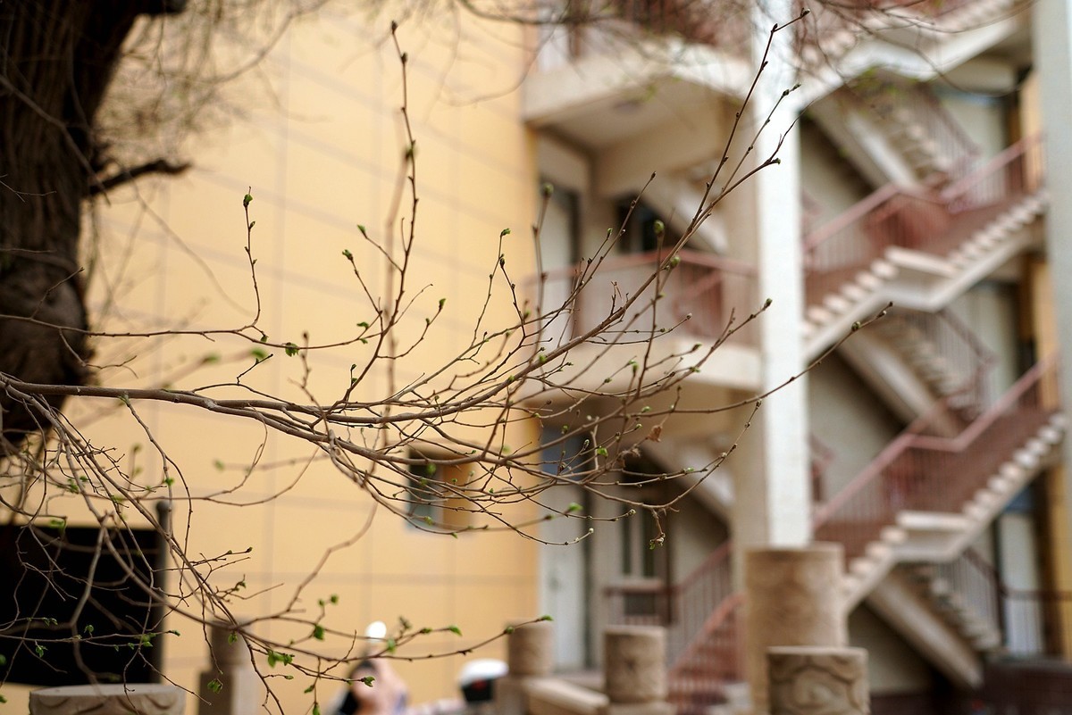 喀什记行：探访其尼瓦克宾馆（原英国驻喀什领事馆）老建筑