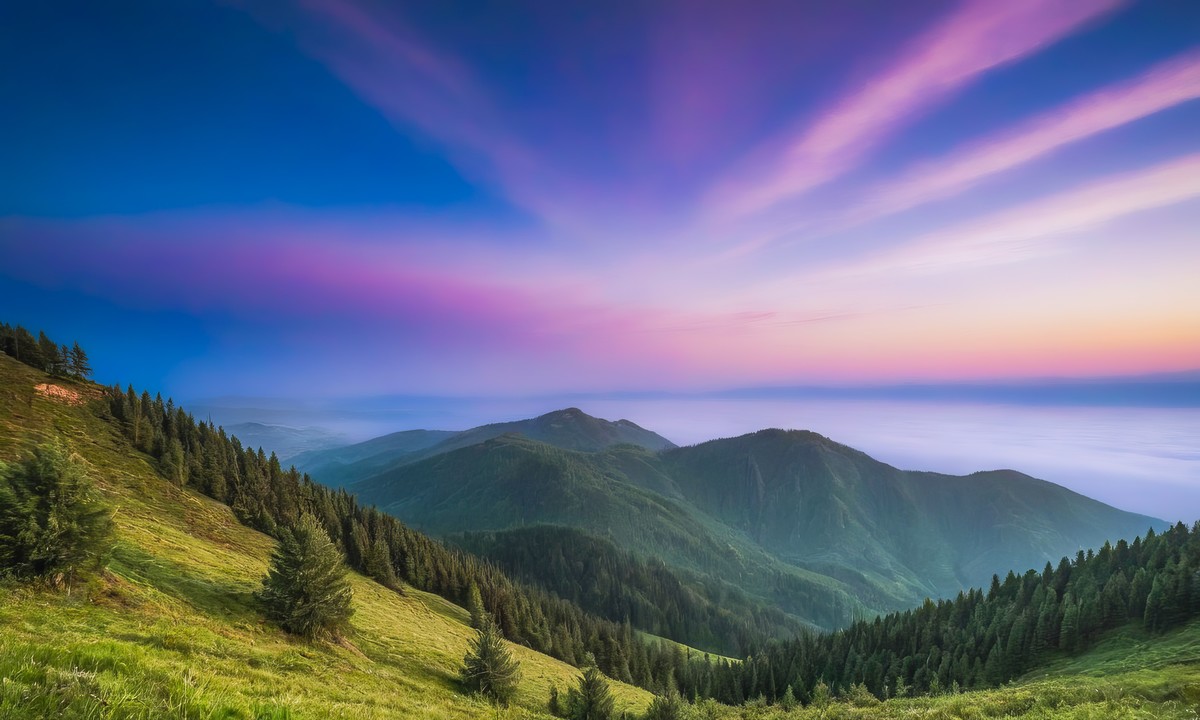 心灵之旅的完美篇章