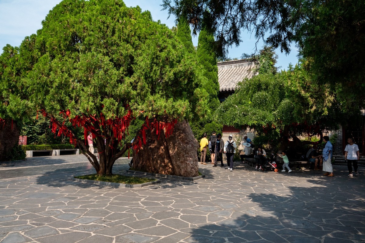 东北行——山东烟台逢莱阁（9）