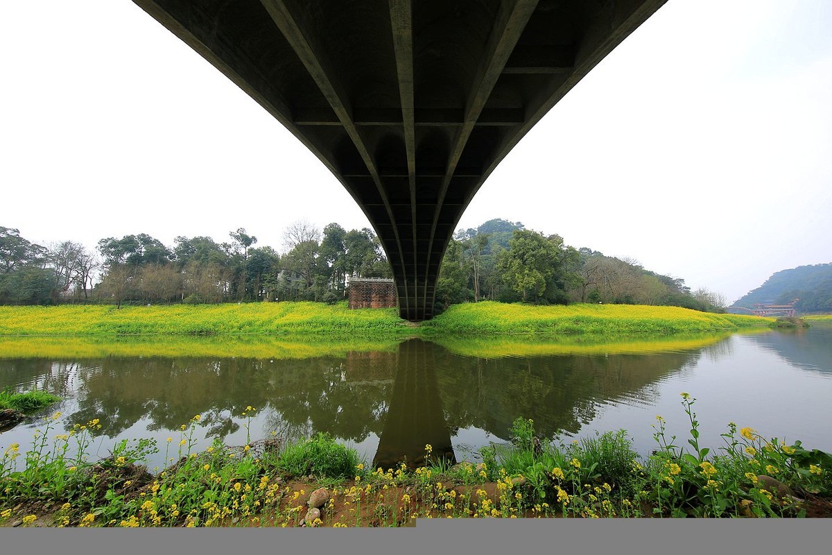麻浩油菜花【七】2025.069