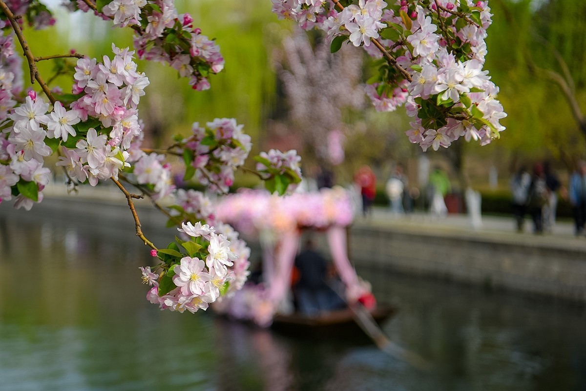 2025年第0253贴-海棠花溪纪实拍（0421）