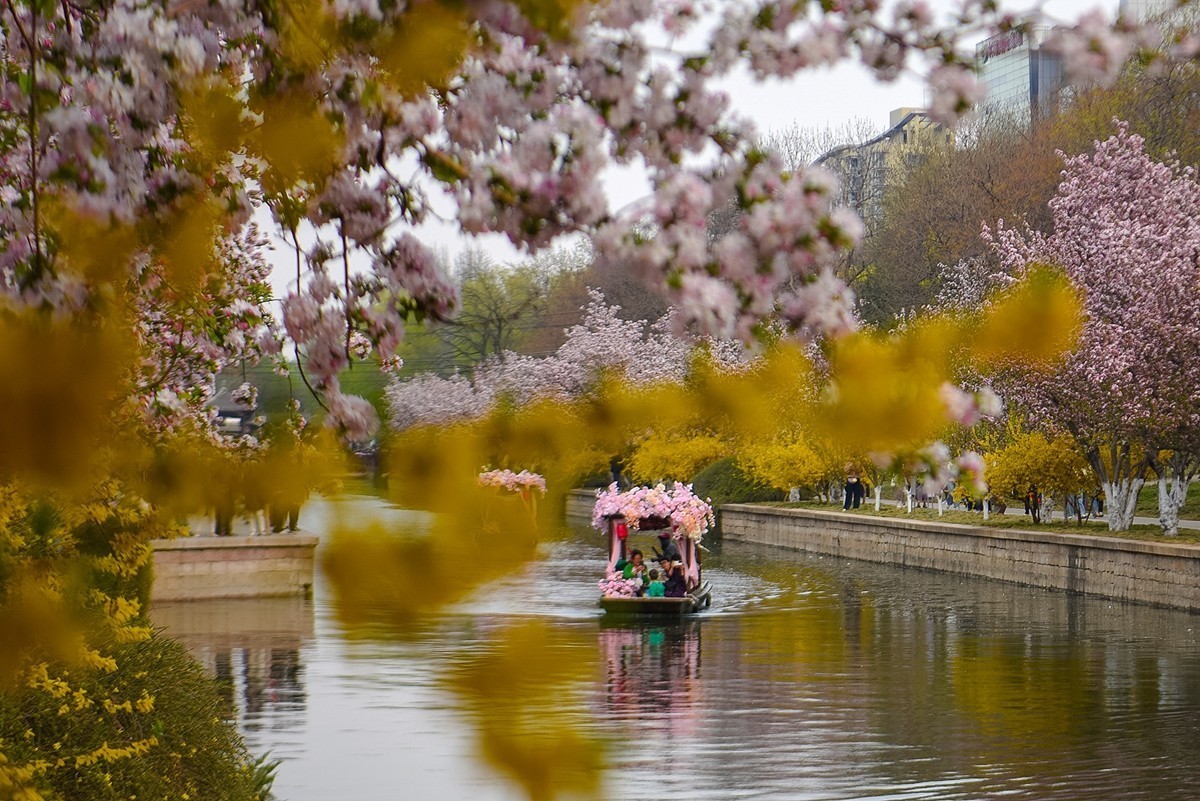 2025年第0253贴-海棠花溪纪实拍（0421）