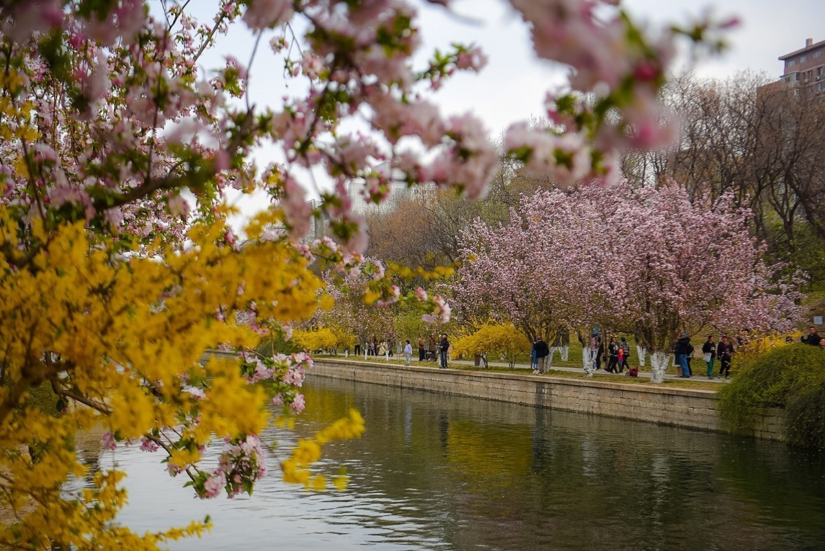 2025年第0253贴-海棠花溪纪实拍（0421）