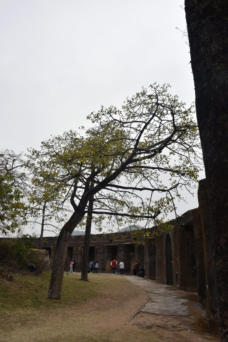 2025春节 广东行（128）探秘江门新会