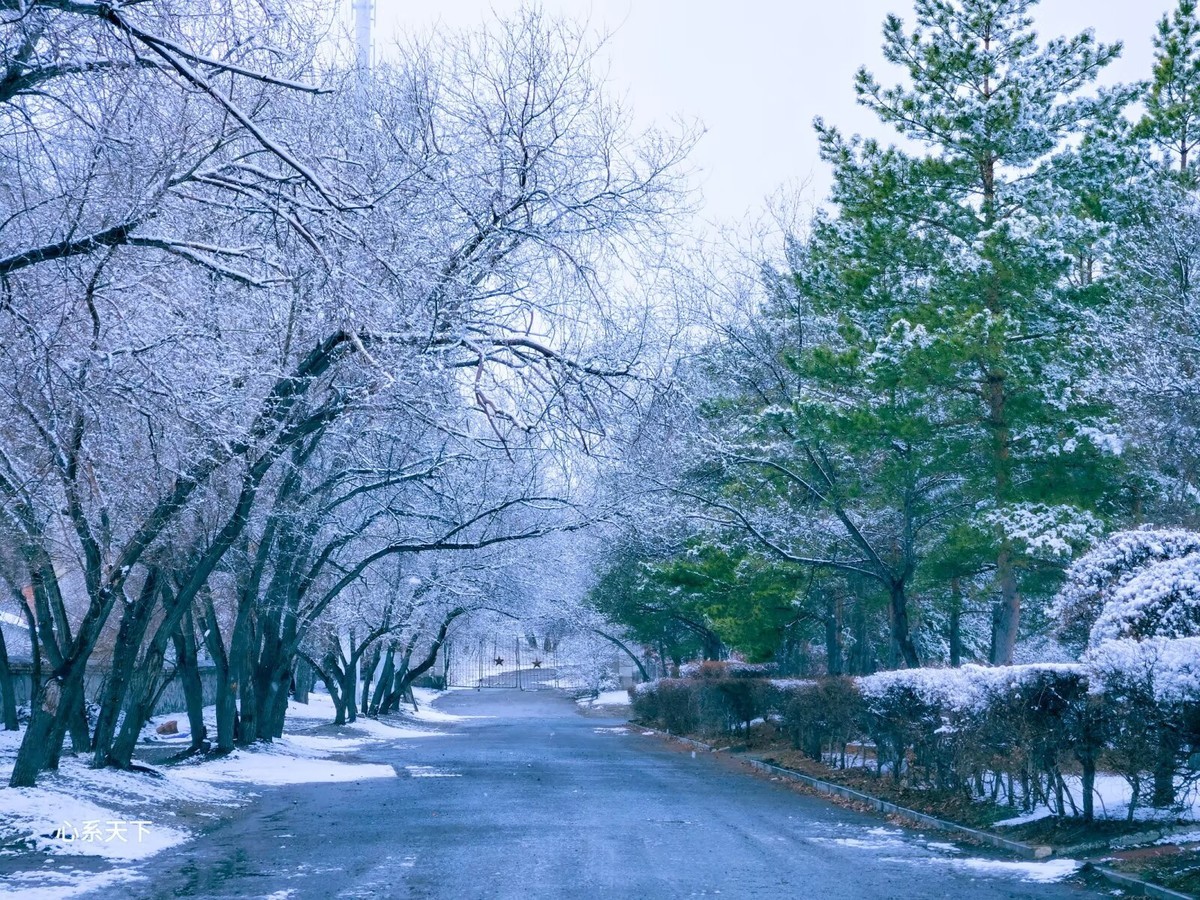 一场春雪