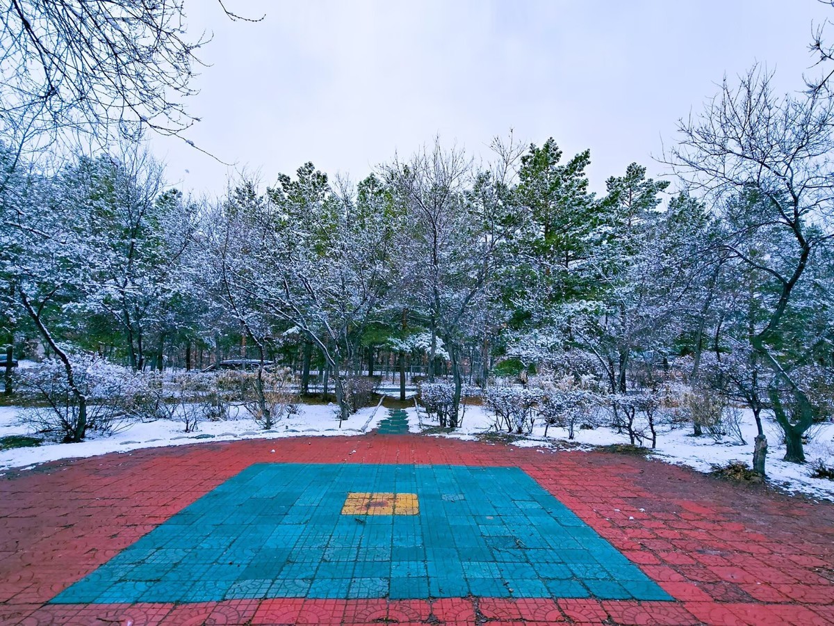 一场春雪