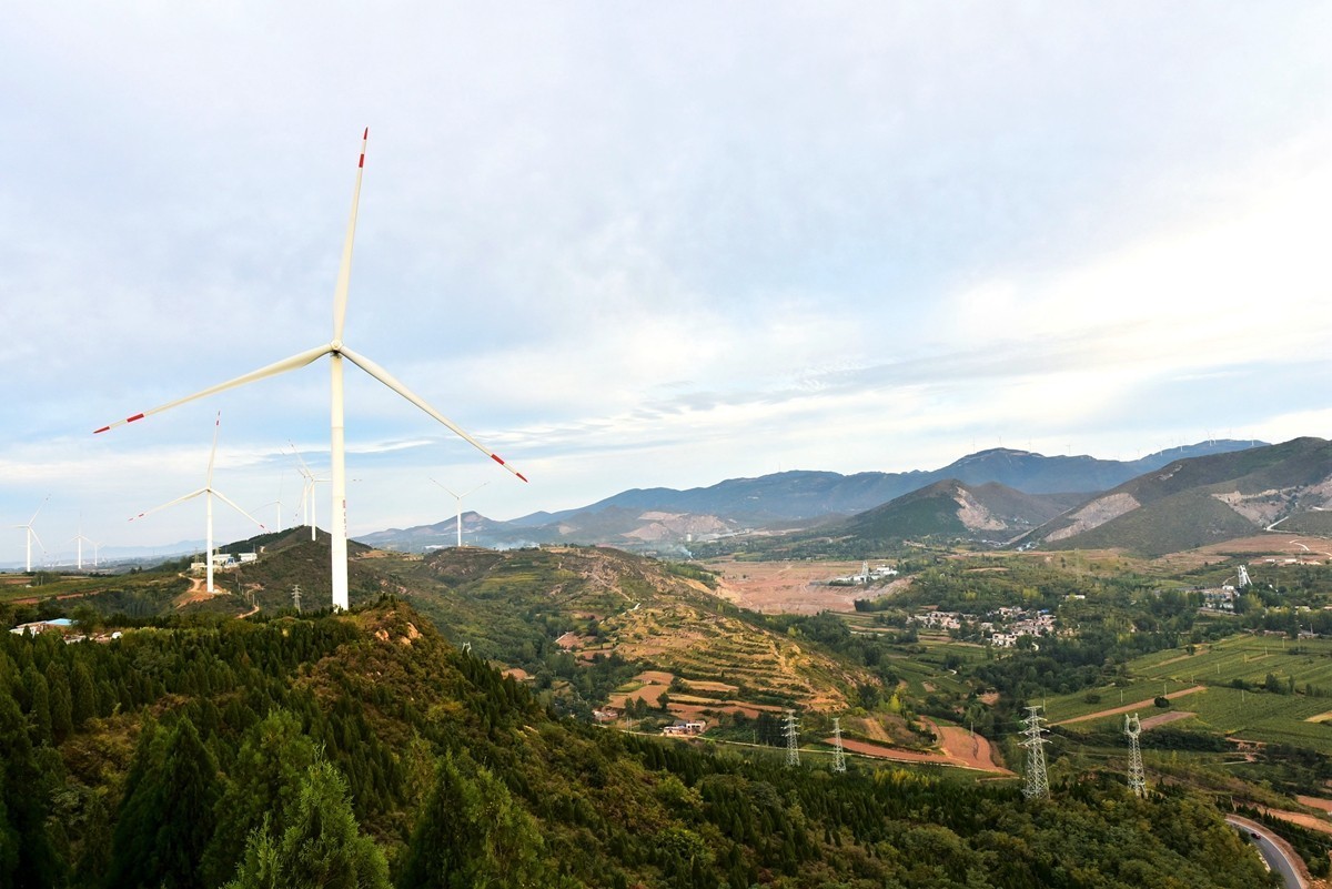 田间地头寻秋色【3】