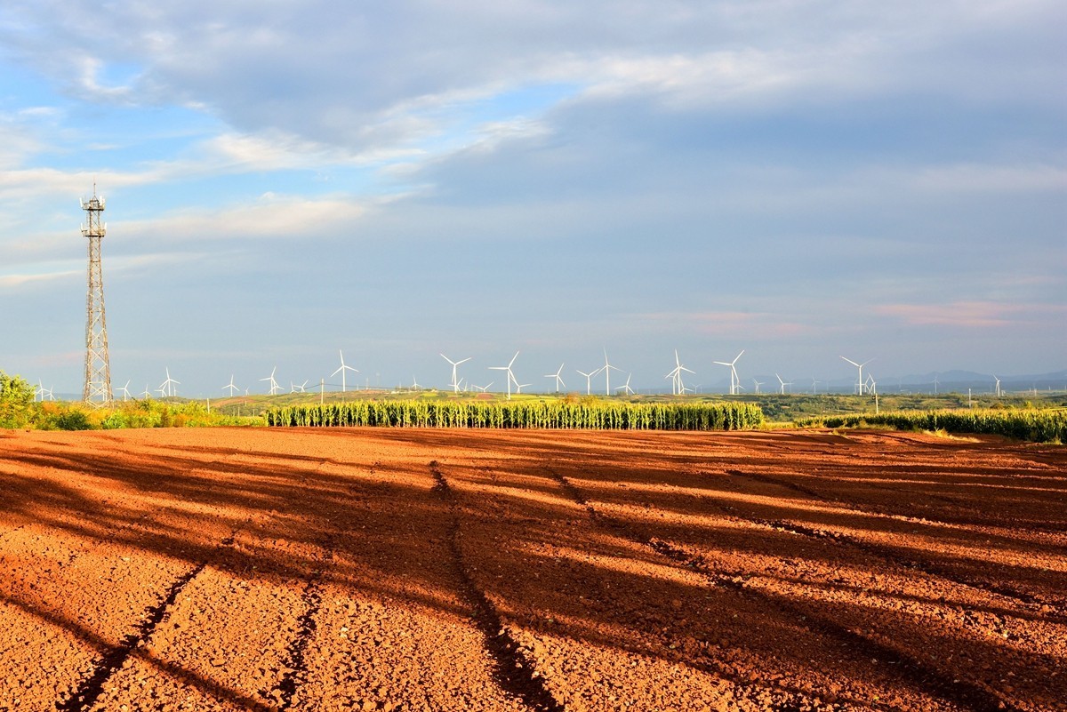田间地头寻秋色【3】