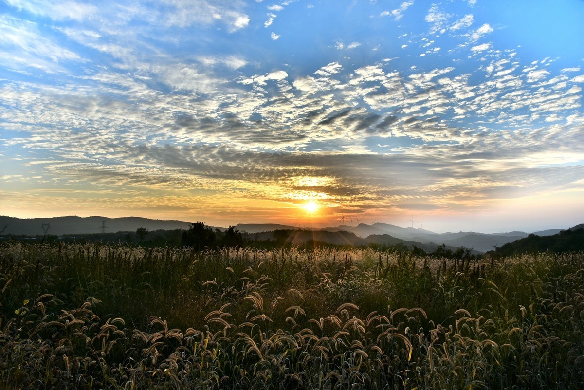 田间地头寻秋色【3】