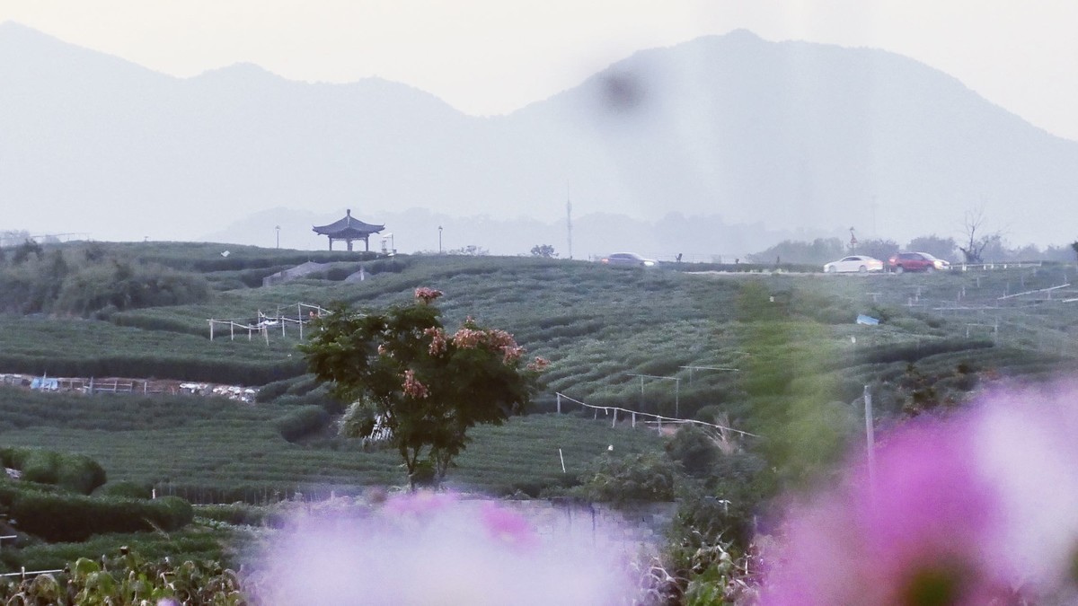 今年7月购入lx100m2用到现在拍了很多照片，完全符合我的预期，已经抛弃手机摄影。