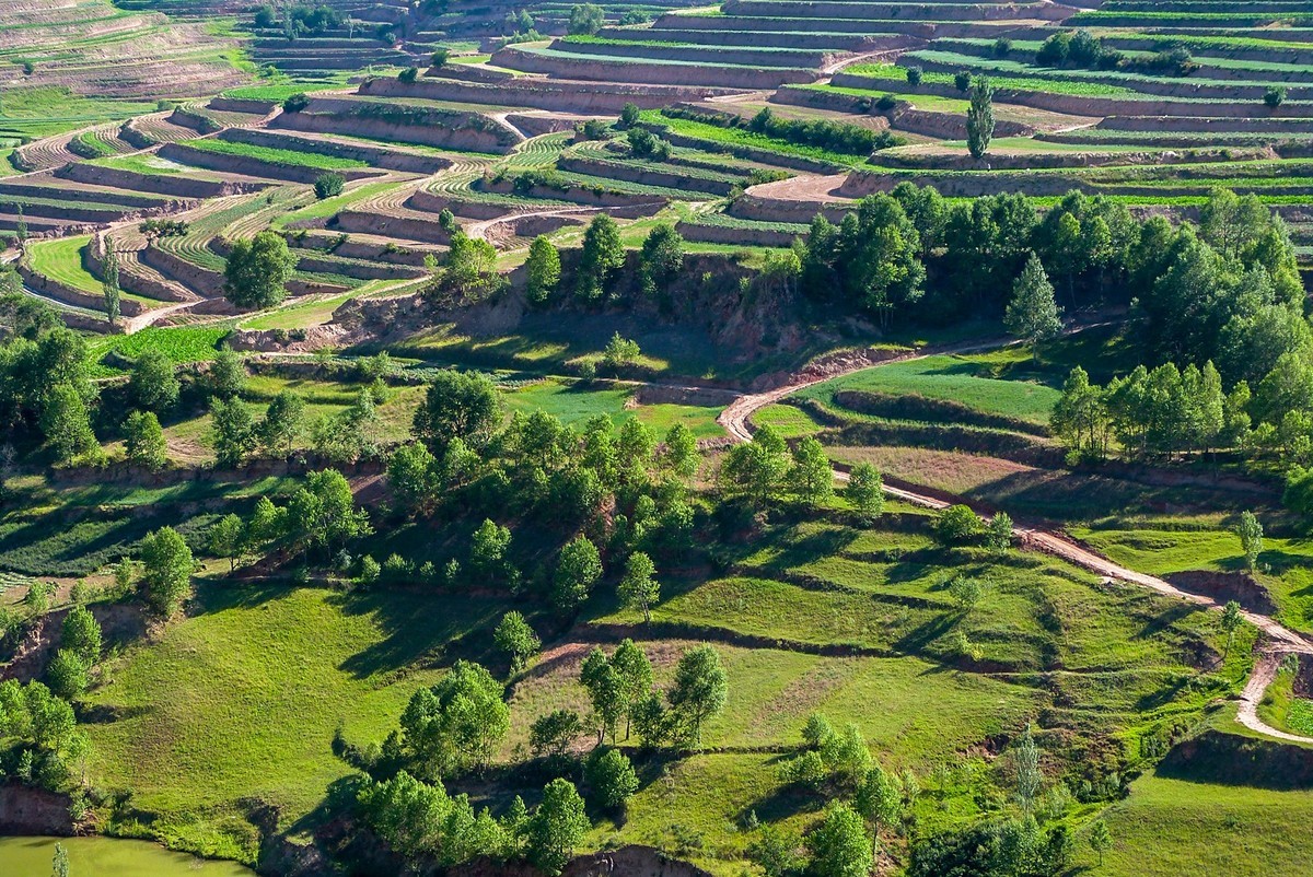 宁夏六盘山区的夏天！