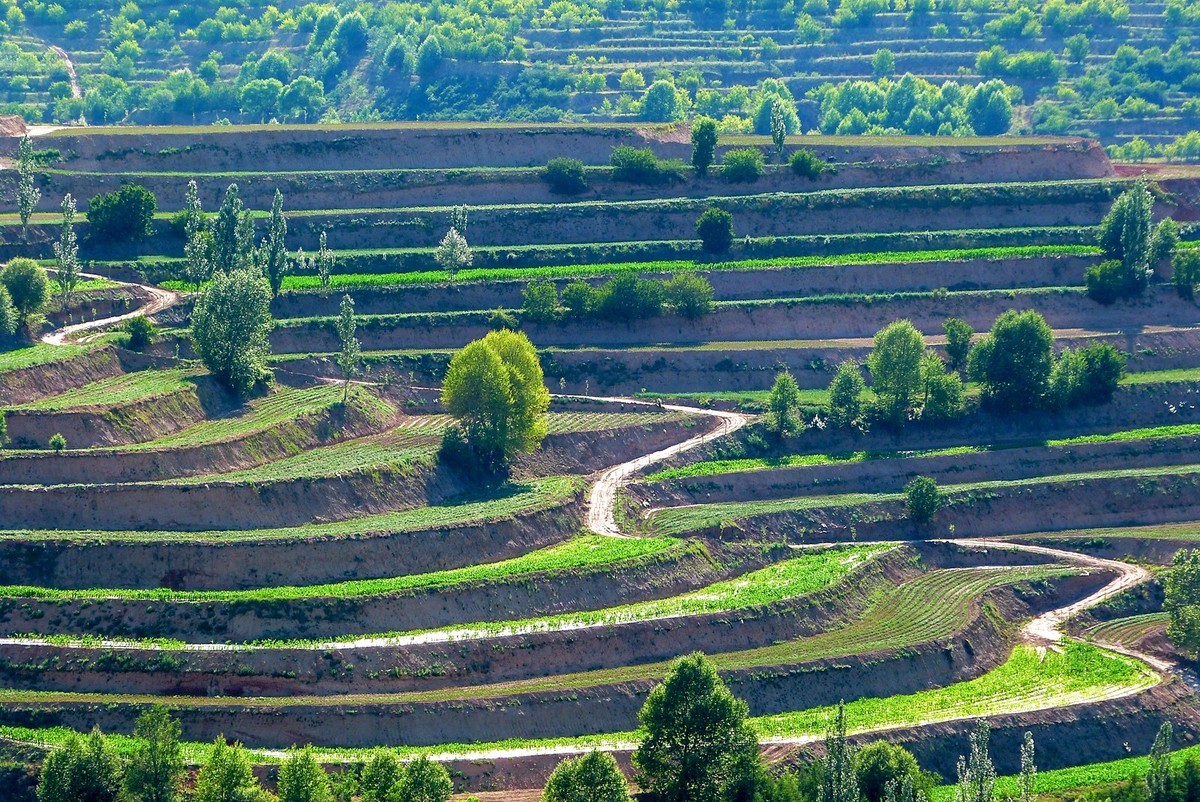 宁夏六盘山区的夏天！