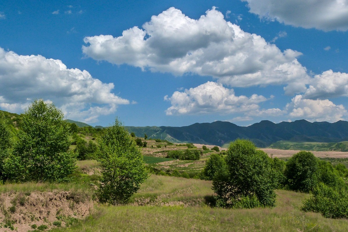 宁夏六盘山区的夏天！