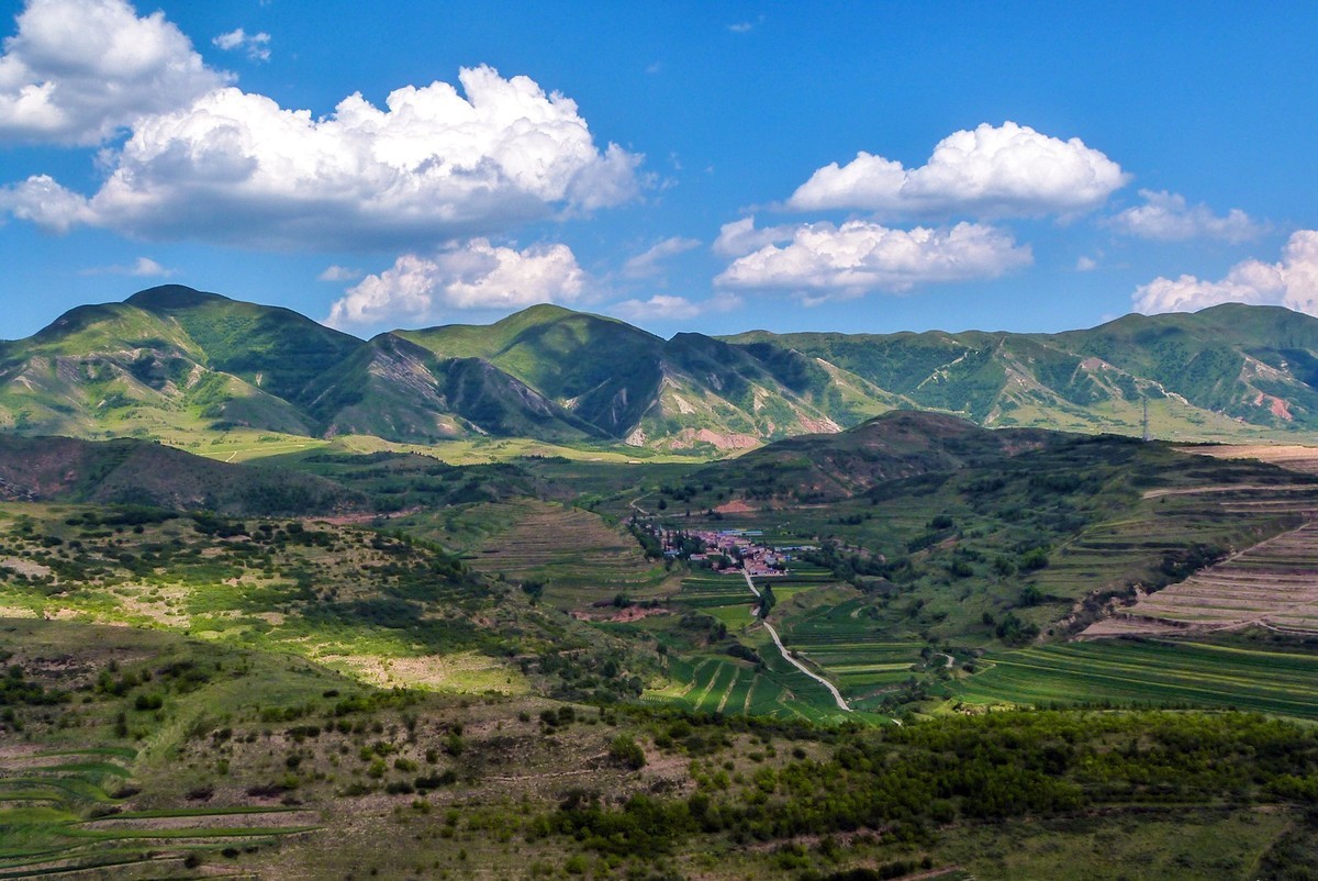 宁夏六盘山区的夏天！
