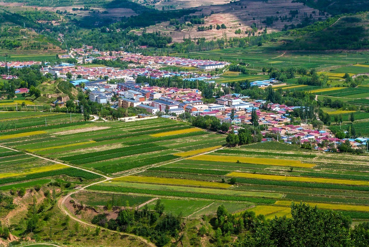 宁夏六盘山区的夏天！