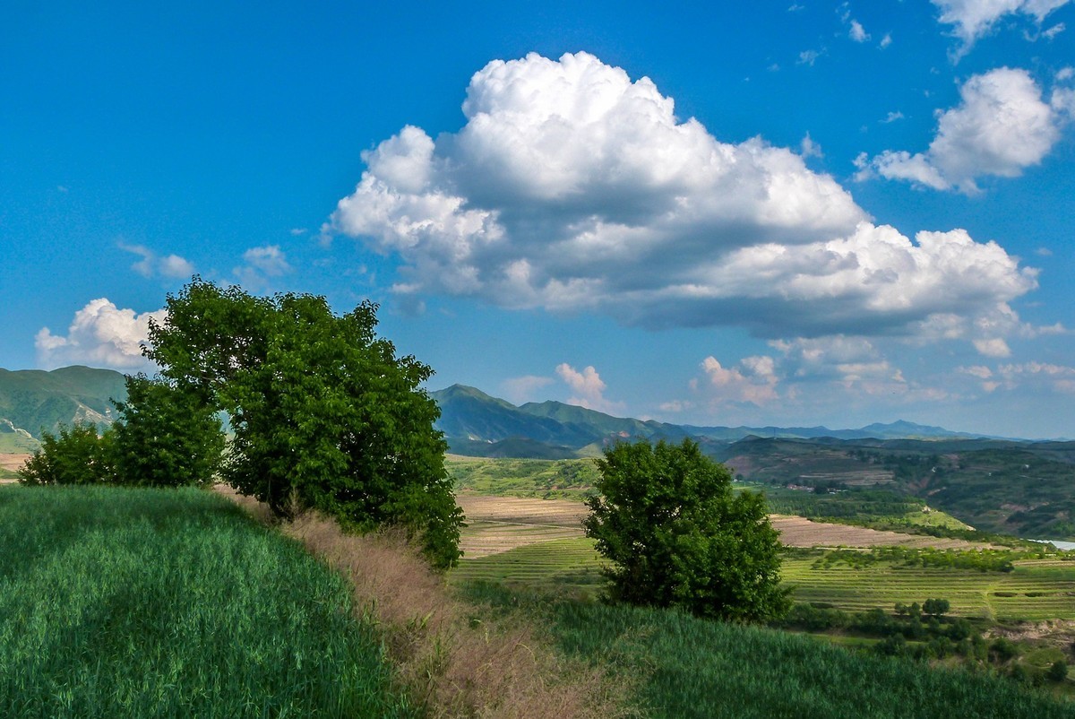 宁夏六盘山区夏天情景！