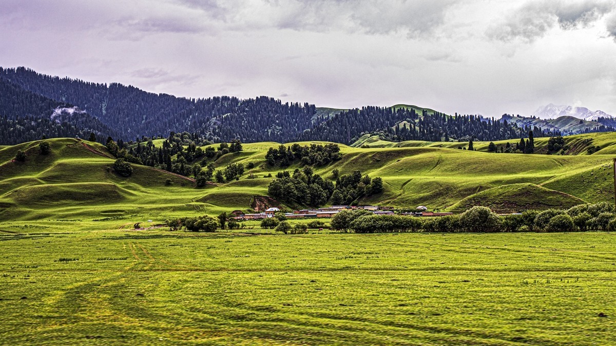 那拉提河谷草原【13】