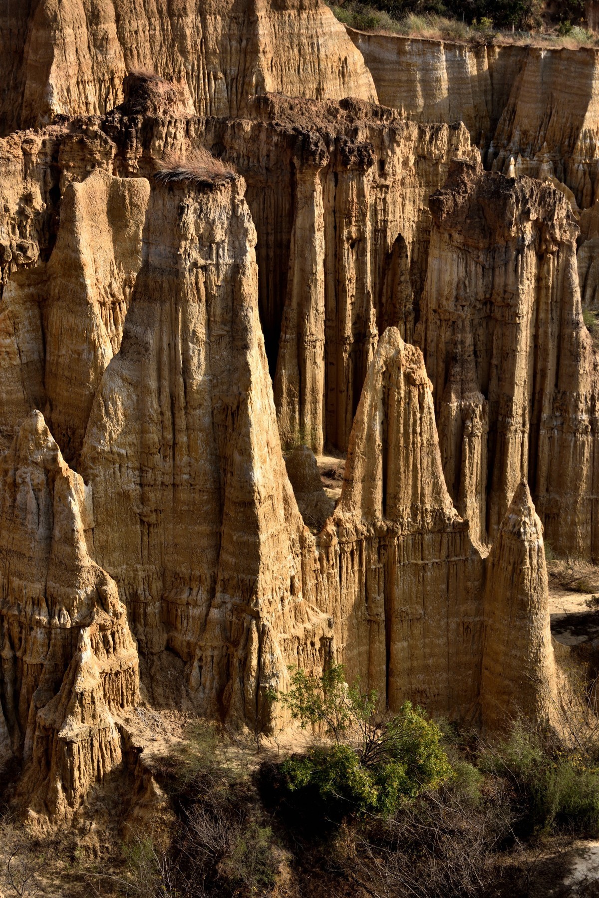 浪巴铺土林【2】