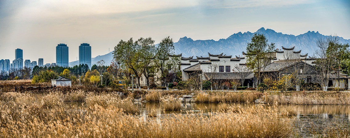 唐岛湾湿地公园