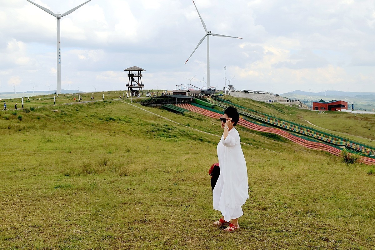 老婆 婆游龙里油画草原