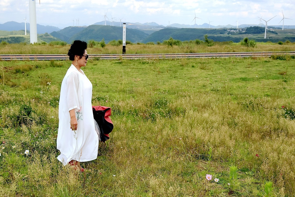老婆 婆游龙里油画草原
