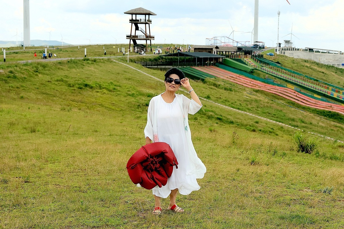 老婆 婆游龙里油画草原