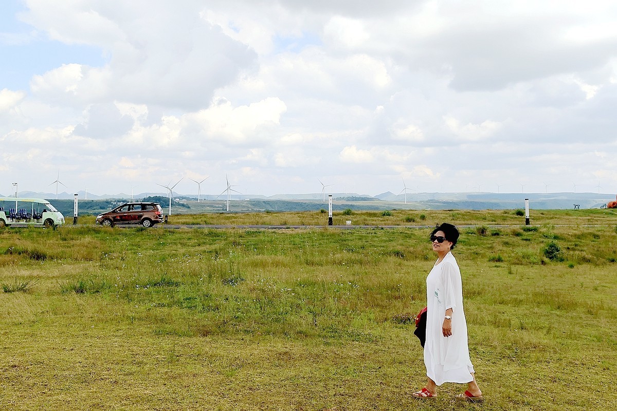 老婆 婆游龙里油画草原